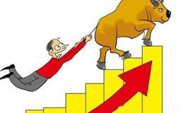 <em>如何选股</em>：因势利导寻解套