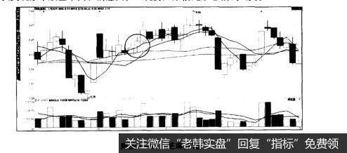 附图1-14芝麻开花