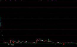 [第五次牛市的那些人]明星基金经理—王亚伟