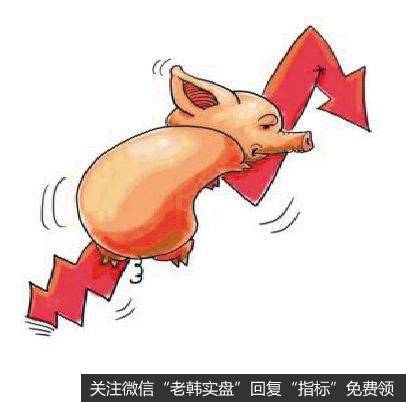 猪肉零售价周环比上涨1.9%