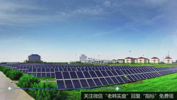 光伏田里也能结出“黄金果”