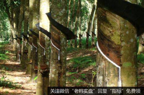 我国提高天然橡胶综合生产能力,天然橡胶题材<a href='//m.sasasearch.com/gainiangu/'>概念股</a>可关注