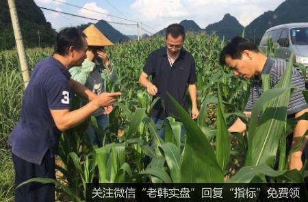 繁殖迅速六省见虫,抗虫题材<a href='//m.sasasearch.com/gainiangu/'>概念股</a>可关注