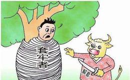 [张中秦看股市]3月2日市场综述 