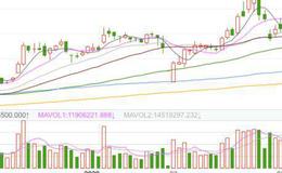 华体会体育客服热线大全｜什么是<em>低价股</em>？低价股的特点和股票市场上的低价股有哪些？
