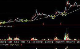 华体会体育客服热线
大全丨股票350防线是有什么特征？ 350防线原理实战案例分析