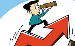 不同类型股票的投资策略