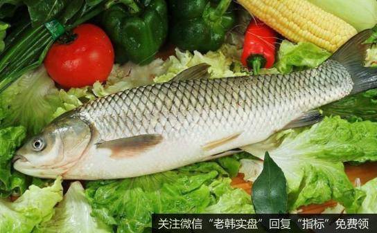多种水产品存塘告急,鱼题材<a href='//m.sasasearch.com/gainiangu/'>概念股</a>可关注