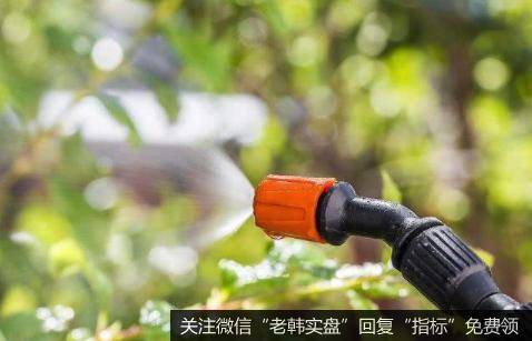 第二波蝗灾袭击非洲,蝗灾题材<a href='//m.sasasearch.com/gainiangu/'>概念股</a>可关注