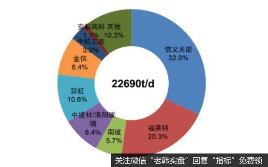 2019年光伏玻璃市场份额分布