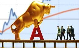 炒股技巧大全 | 股民在选股时需要遵守哪些原则呢？看完本文你就明白！