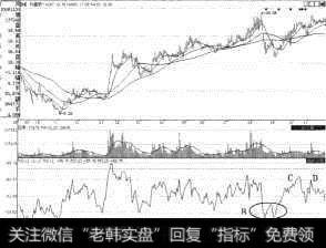 外高桥（600648）RSI形成双顶