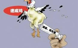 缠论解盘：今天，聊两只龙头