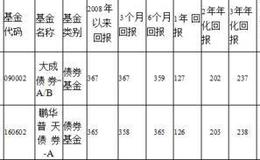 大成债券投资基金   股票持仓为0。两只基金何其相似