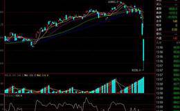浅析改革对不同电力来源的电力华体会赛事竞猜股市的影响