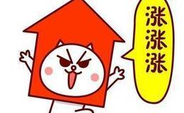 皮海洲：回报投资者不妨将华体会赛事竞猜高派现的50%用于股份回购