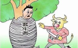 冯矿伟：未来的2个买点 