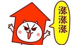 徐小明：周四操作策略