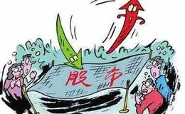 巴菲特:巴菲特不看好特斯拉，为什么却买了比亚迪，王传福的战略又是什么