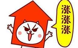 巴菲特：巴菲特投美国运通27年赚250亿美元 今年赚了80亿