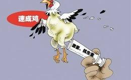 巴菲特：什么是沃伦·巴菲特眼中的好公司：成长型公司