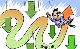 巴菲特：查诺斯做空的这只股票 让巴菲特一年赚了近20亿美元