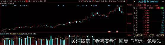 猎豹实盘:我错了