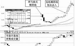 帽阴线洗盘绊马索式牛股捕捉技术实例分析——广济药业（000952）