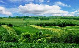 生态农业概念股有哪些？ 生态农业概念股受关注