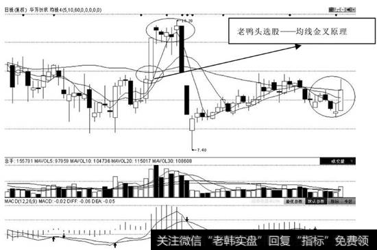 “老鸭头”选股